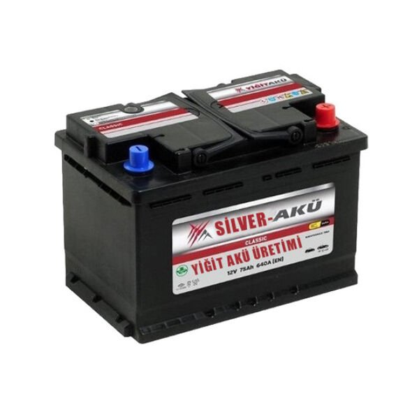 Silver Marin Akü 100 Amp